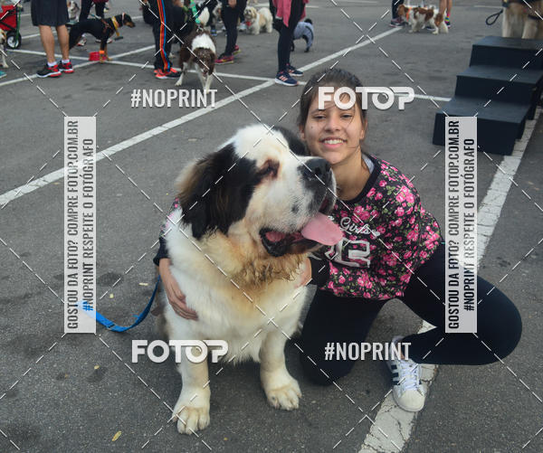 Buy your photos of the eventCorrida Pet Finde on Fotop