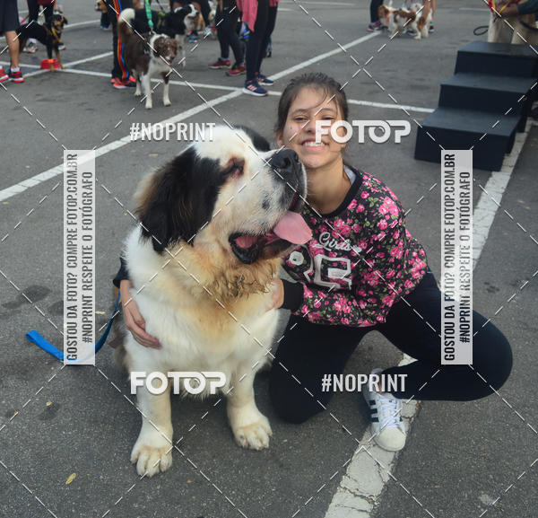 Buy your photos of the eventCorrida Pet Finde on Fotop