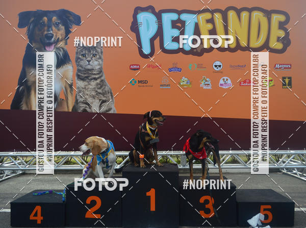 Buy your photos of the eventCorrida Pet Finde on Fotop