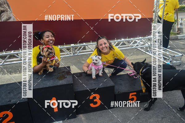 Buy your photos of the eventCorrida Pet Finde on Fotop