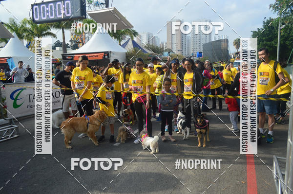 Buy your photos of the eventCorrida Pet Finde on Fotop
