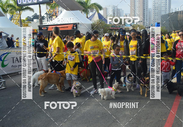 Buy your photos of the eventCorrida Pet Finde on Fotop