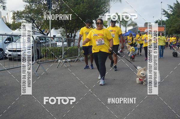 Buy your photos of the eventCorrida Pet Finde on Fotop