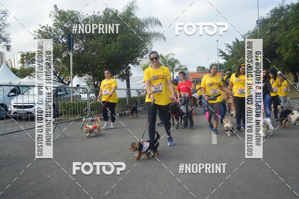 Buy your photos of the eventCorrida Pet Finde on Fotop