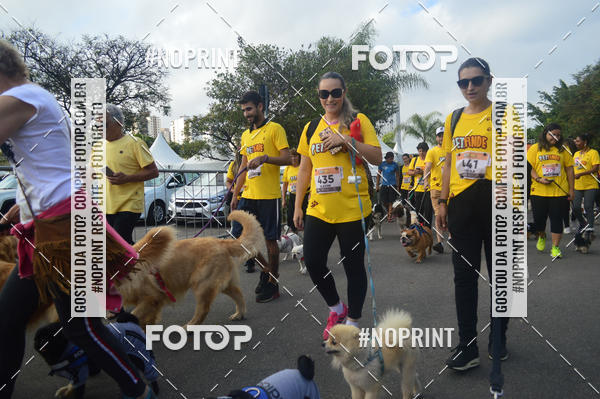 Buy your photos of the eventCorrida Pet Finde on Fotop
