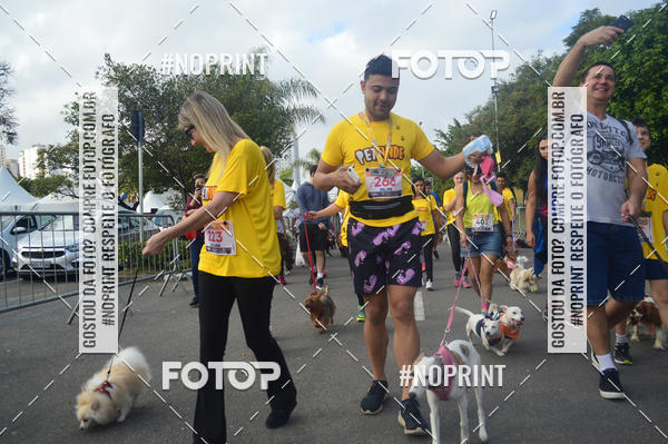 Buy your photos of the eventCorrida Pet Finde on Fotop