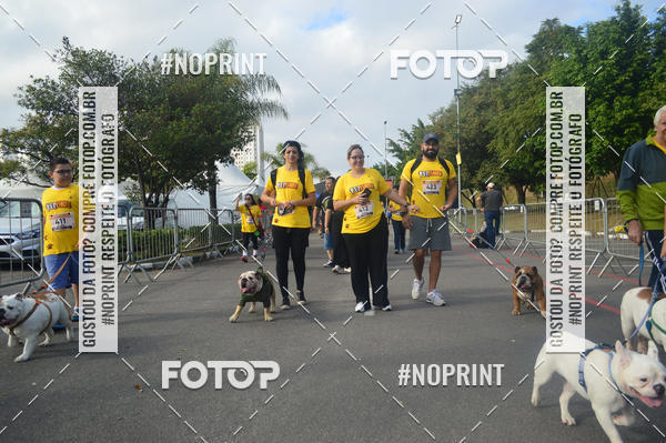 Buy your photos of the eventCorrida Pet Finde on Fotop