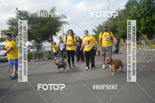 Buy your photos of the eventCorrida Pet Finde on Fotop