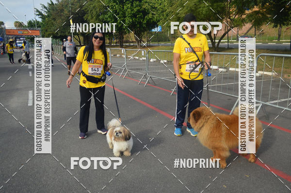 Buy your photos of the eventCorrida Pet Finde on Fotop