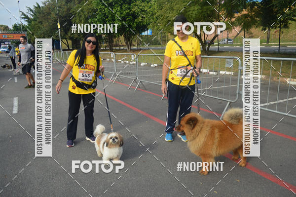 Buy your photos of the eventCorrida Pet Finde on Fotop
