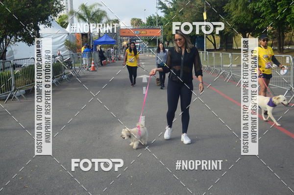 Buy your photos of the eventCorrida Pet Finde on Fotop