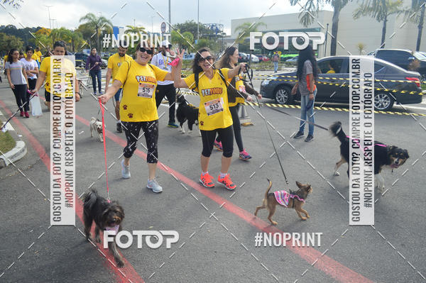 Buy your photos of the eventCorrida Pet Finde on Fotop