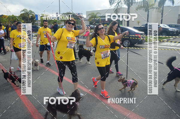 Buy your photos of the eventCorrida Pet Finde on Fotop