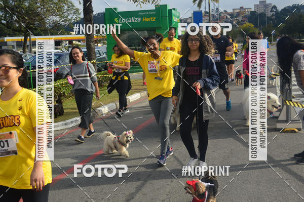 Buy your photos of the eventCorrida Pet Finde on Fotop