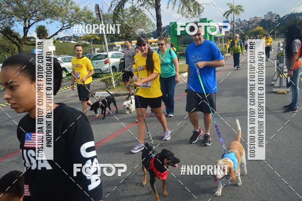 Buy your photos of the eventCorrida Pet Finde on Fotop