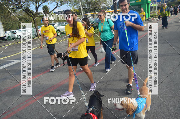Buy your photos of the eventCorrida Pet Finde on Fotop