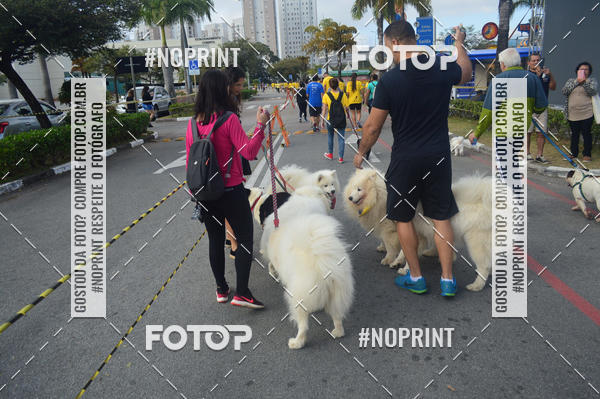 Buy your photos of the eventCorrida Pet Finde on Fotop