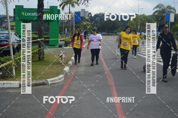 Buy your photos of the eventCorrida Pet Finde on Fotop