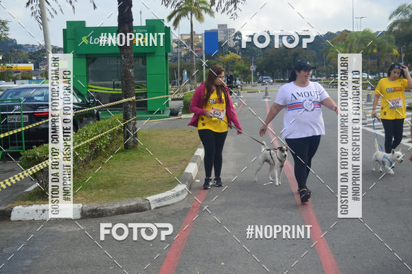 Buy your photos of the eventCorrida Pet Finde on Fotop