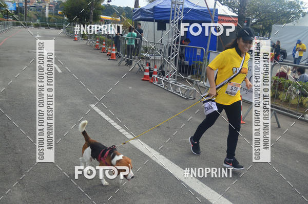 Buy your photos of the eventCorrida Pet Finde on Fotop