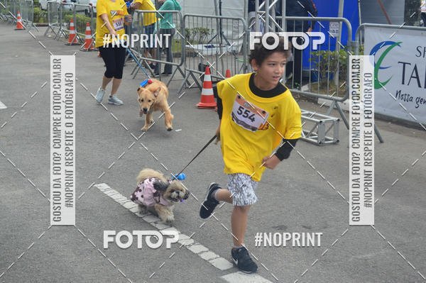 Buy your photos of the eventCorrida Pet Finde on Fotop