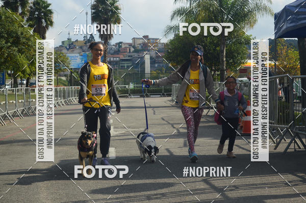 Buy your photos of the eventCorrida Pet Finde on Fotop