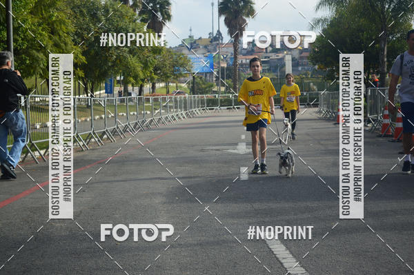 Buy your photos of the eventCorrida Pet Finde on Fotop