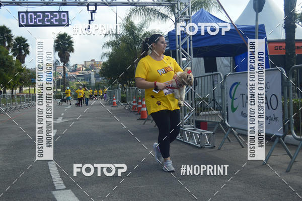 Buy your photos of the eventCorrida Pet Finde on Fotop