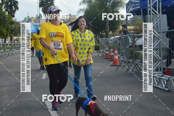 Buy your photos of the eventCorrida Pet Finde on Fotop