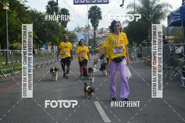 Buy your photos of the eventCorrida Pet Finde on Fotop