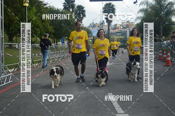 Buy your photos of the eventCorrida Pet Finde on Fotop