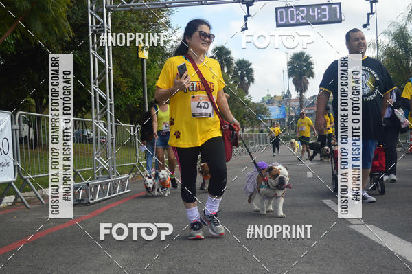 Buy your photos of the eventCorrida Pet Finde on Fotop