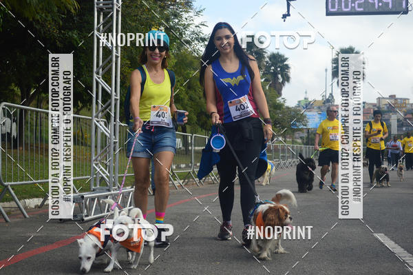 Buy your photos of the eventCorrida Pet Finde on Fotop