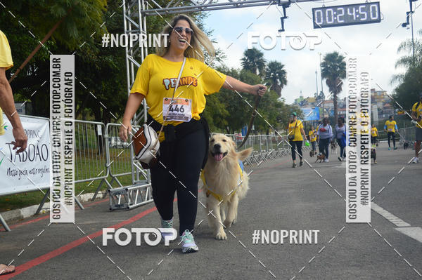 Buy your photos of the eventCorrida Pet Finde on Fotop