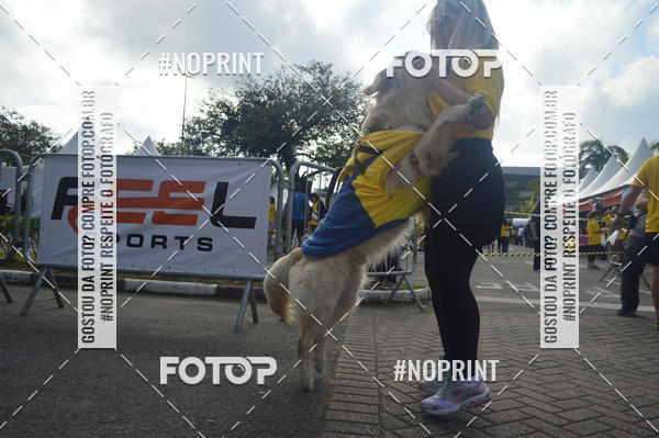Buy your photos of the eventCorrida Pet Finde on Fotop