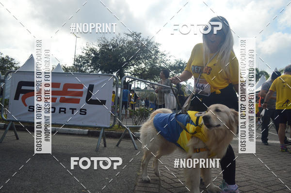 Buy your photos of the eventCorrida Pet Finde on Fotop