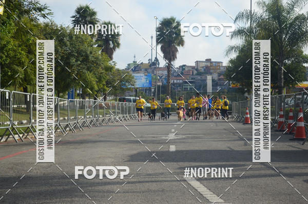 Buy your photos of the eventCorrida Pet Finde on Fotop