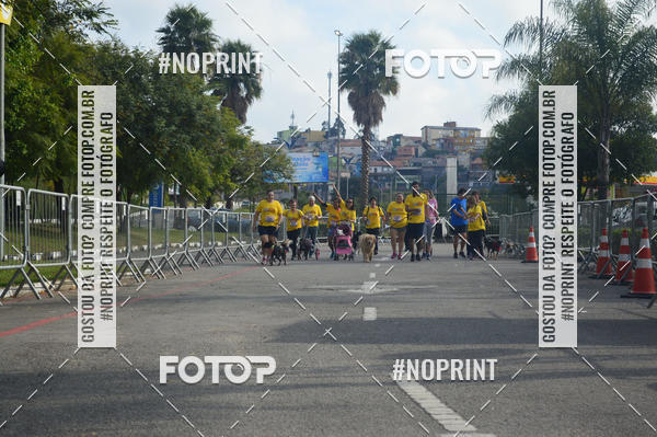 Buy your photos of the eventCorrida Pet Finde on Fotop