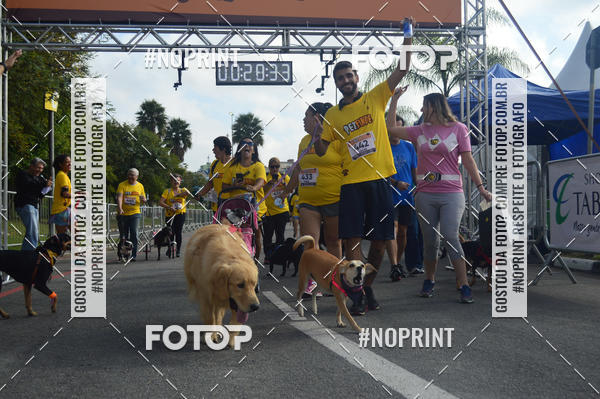 Buy your photos of the eventCorrida Pet Finde on Fotop