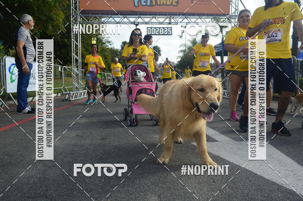 Buy your photos of the eventCorrida Pet Finde on Fotop