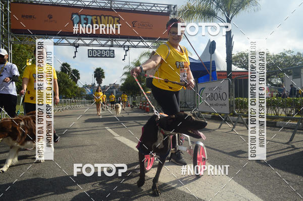 Buy your photos of the eventCorrida Pet Finde on Fotop
