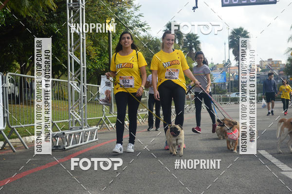 Buy your photos of the eventCorrida Pet Finde on Fotop