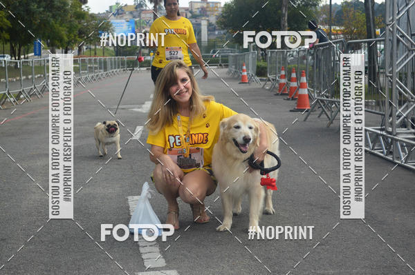 Buy your photos of the eventCorrida Pet Finde on Fotop