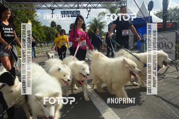 Buy your photos of the eventCorrida Pet Finde on Fotop