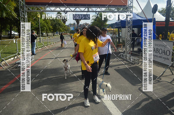 Buy your photos of the eventCorrida Pet Finde on Fotop