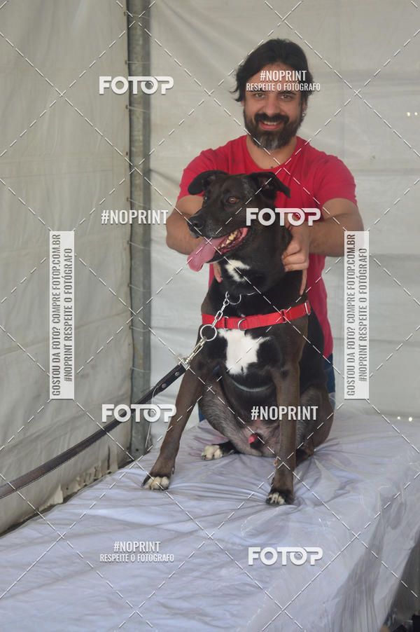 Buy your photos of the eventCorrida Pet Finde on Fotop