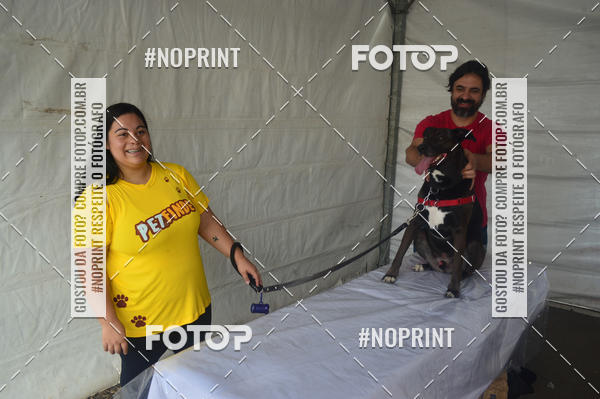 Buy your photos of the eventCorrida Pet Finde on Fotop