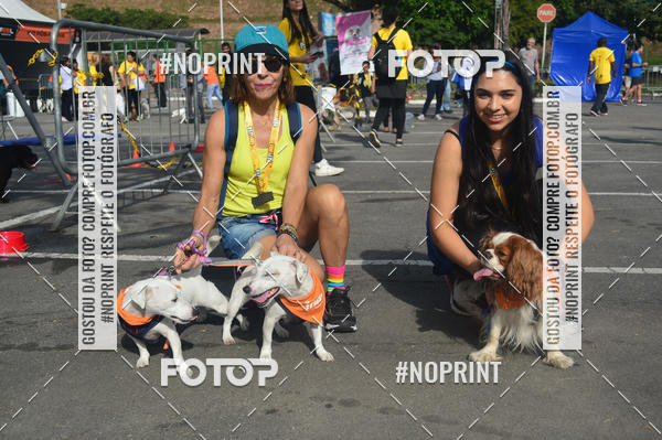 Buy your photos of the eventCorrida Pet Finde on Fotop