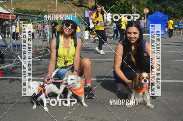 Buy your photos of the eventCorrida Pet Finde on Fotop