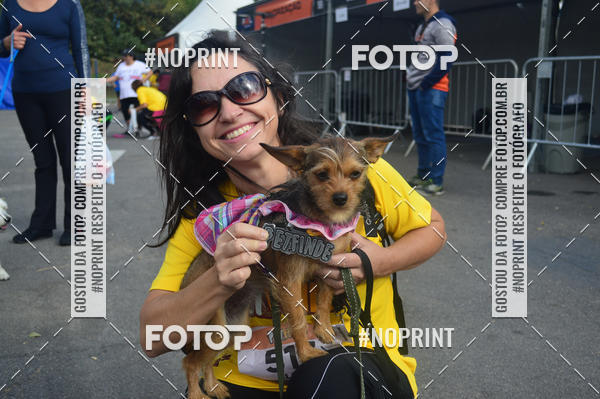 Buy your photos of the eventCorrida Pet Finde on Fotop